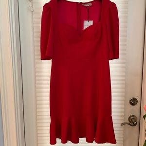 NWT Premier Amour Red Raspberry Dress size 14